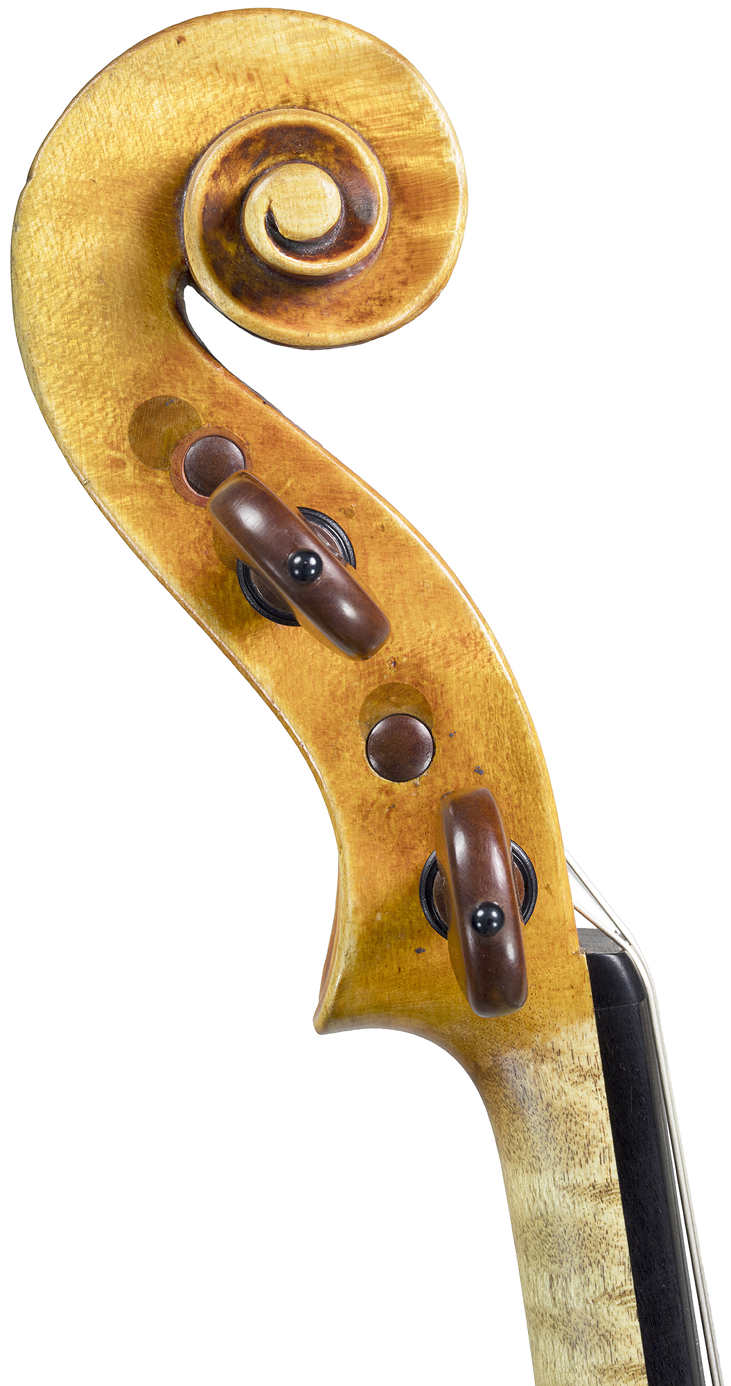 Robertson & Sons Violin Shop Home