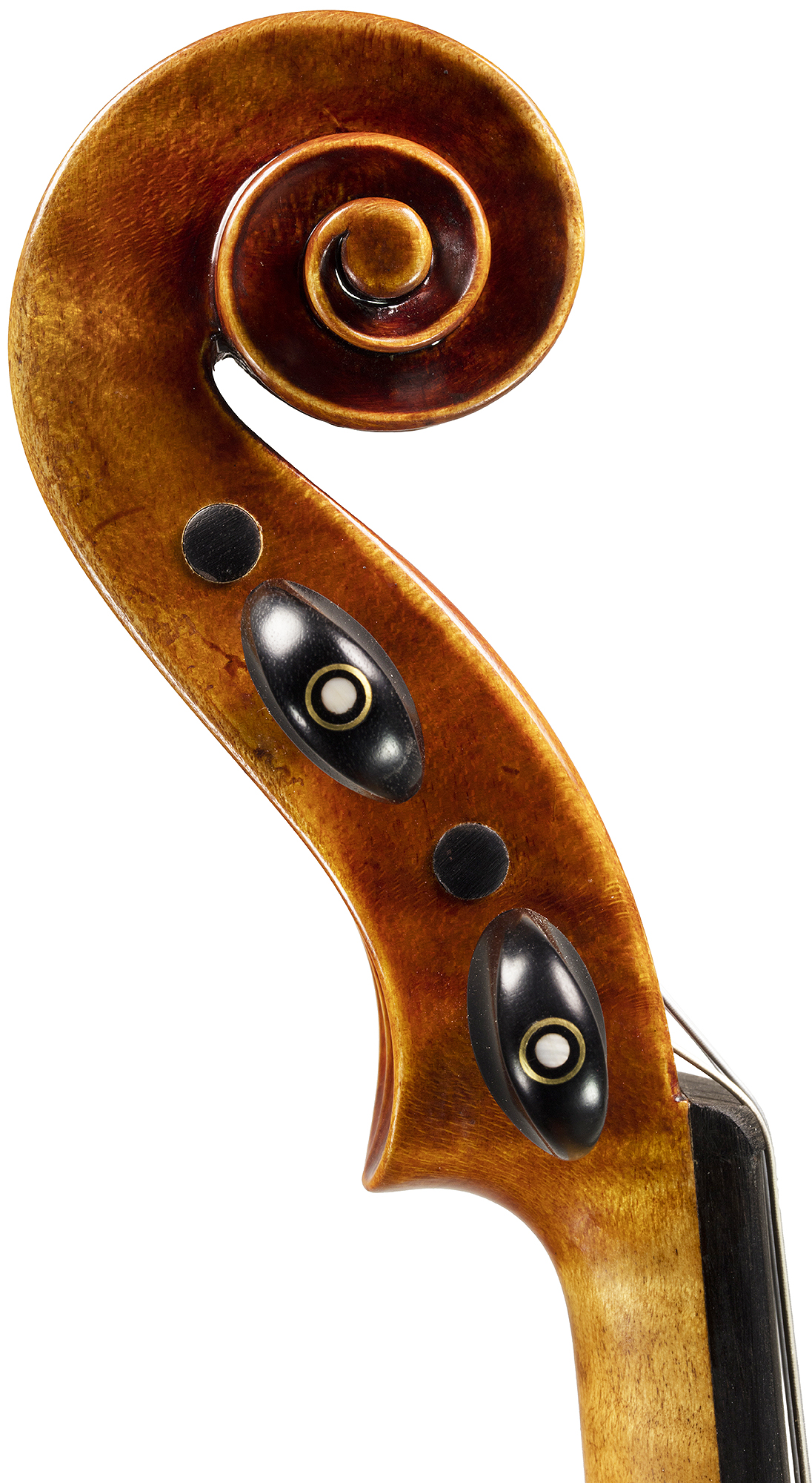 Robertson & Sons Violin Shop Home