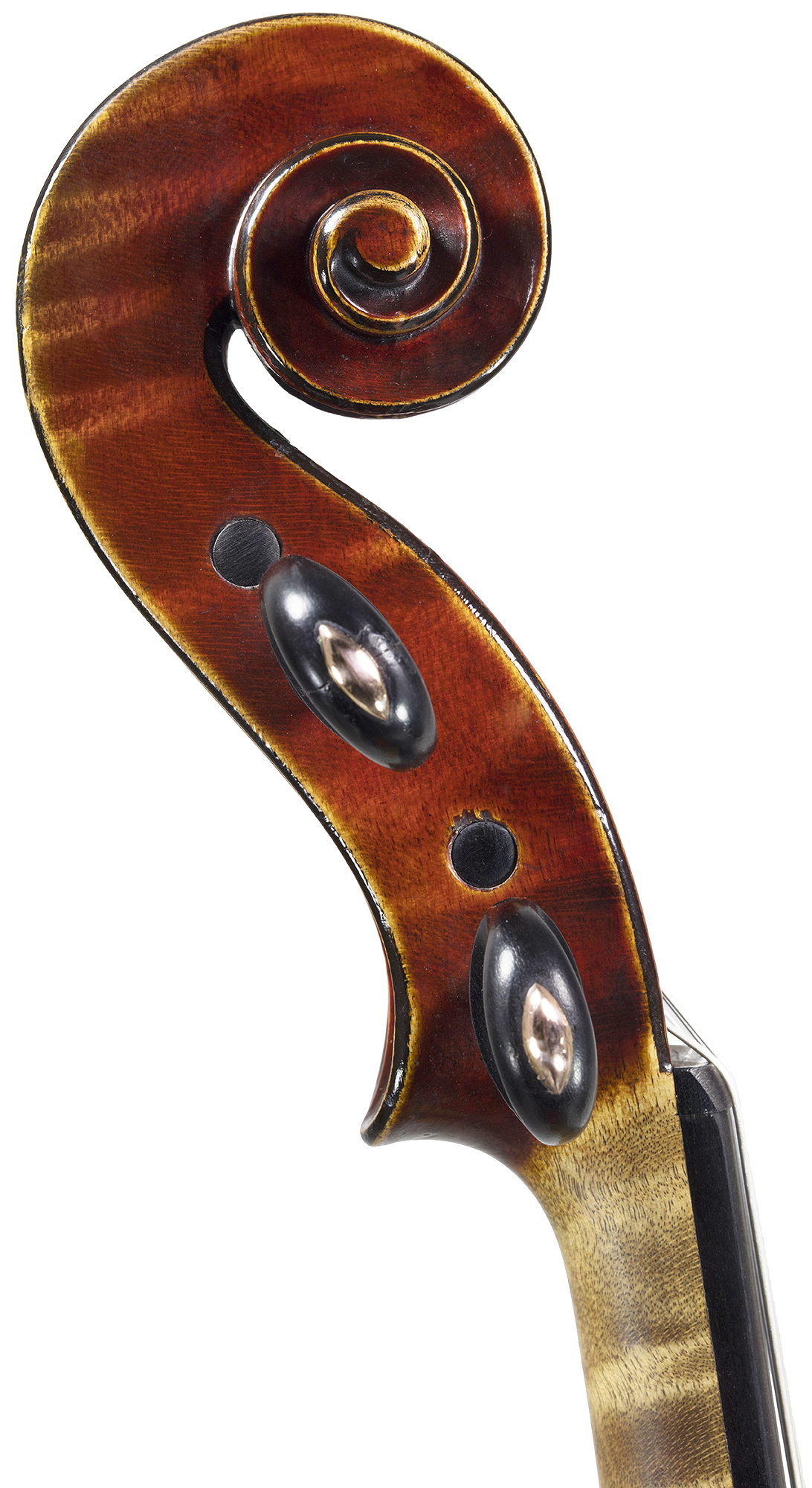 Robertson & Sons Violin Shop Home