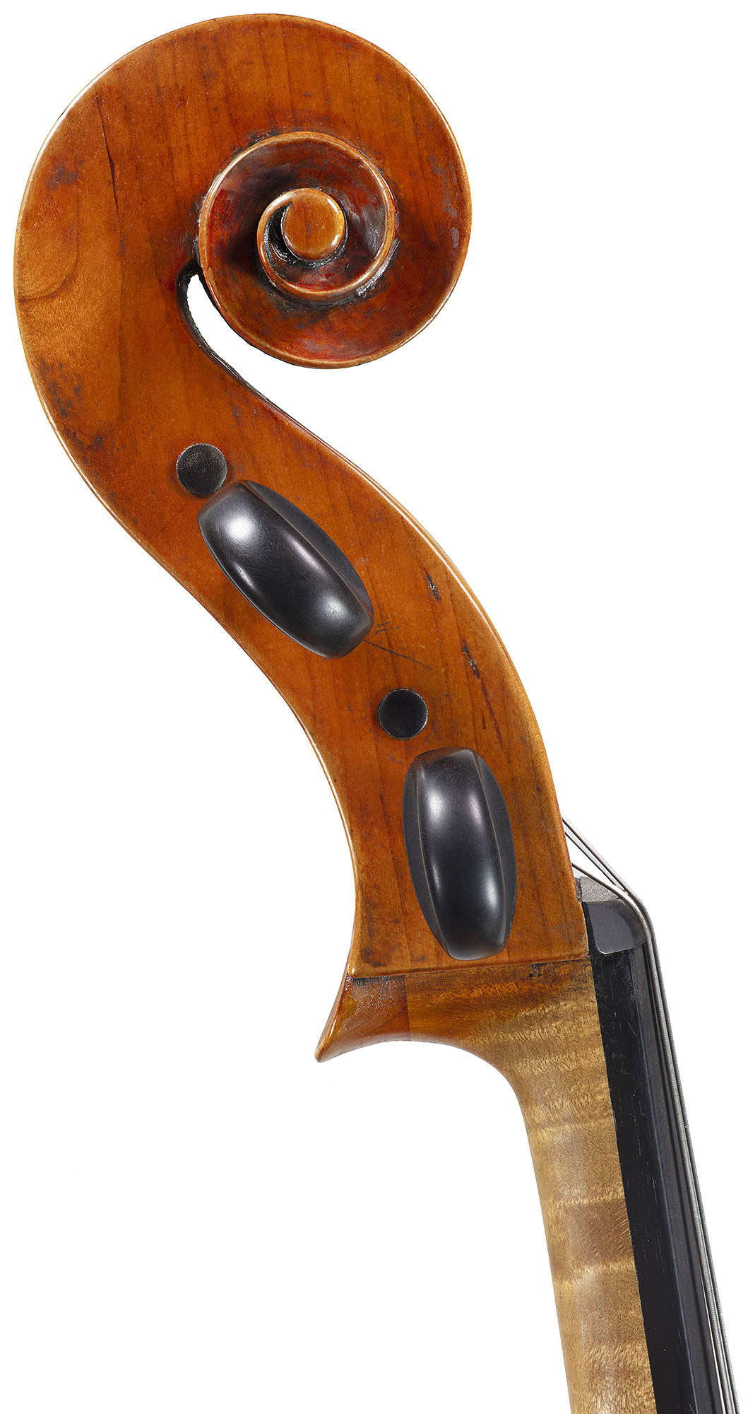 Robertson & Sons Violin Shop Home